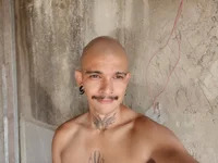 FaunoVandal avatar