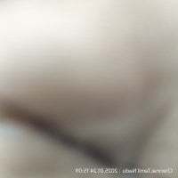 FeignedSoftener avatar