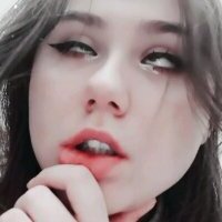 FelvivalKitty avatar