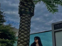 FreyaFondness avatar