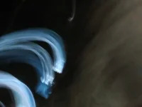 Fuckass18 avatar