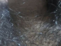 Fuckboyxxx2026 avatar