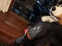 FurryRalf avatar