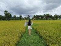 GAIXINH_TIMCK avatar