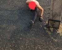 GangstArabianMaster avatar