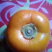 GleefulAkashyyy avatar