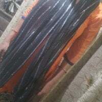 Gouri_singhhh avatar