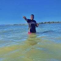 GusanoDelicioso avatar