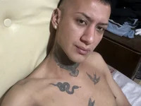 Gustavofernandez avatar