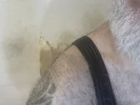 Hard79sex avatar
