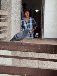 HarryChoudhary21 avatar