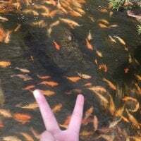 Hehenhdoxwbe avatar