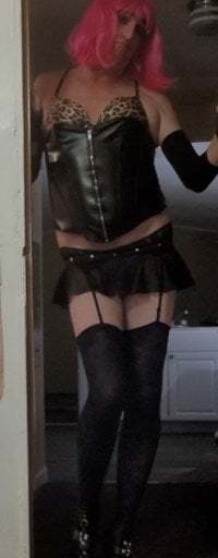 HelloKittyLapDog avatar