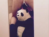 HoneyBunnyBedPet avatar