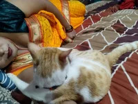 Hot_Bhabhi_Ji_ avatar