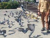 IIa_1smfnDp6Z_K avatar