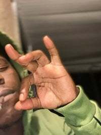 Illshoveitinyaback avatar