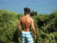 IndianAfterHours avatar