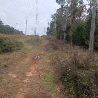 InnocentLetsgetit123 avatar