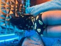 Isabella-Teen avatar