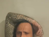 ItaloSpagnoli avatar