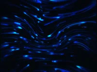J0535170 avatar