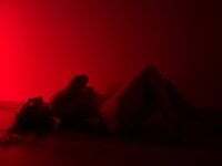 JadeBabyBloom avatar