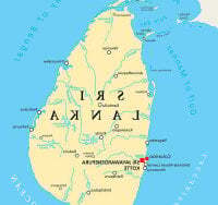Jeewapatel avatar