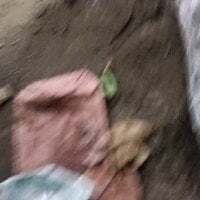 Jrdj_27 avatar