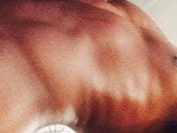 KaiTemptation avatar