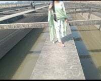 Kavya-collage avatar