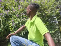 King_of_the_south avatar
