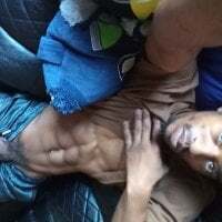 Kinglucero0013 Cam Model: Live Nude & Adult Sex Chat | Booble