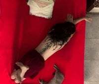 KittyChannel_ avatar