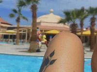 Krystal_N avatar