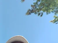 LastBigBlackDick07 avatar