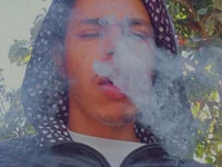 LatinWolff avatar