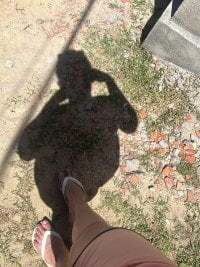 Leite21cm avatar