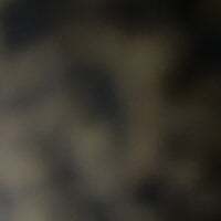 LibidoTavan63 avatar