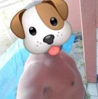 LindoTicudo avatar