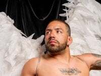 Lion_and_aria avatar