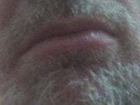 Loiroquermacho avatar