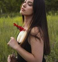 Lola_fox282 avatar