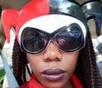 Looking4Jerries avatar