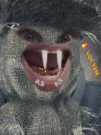 Lookn4Hairybushychicks avatar