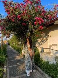 LovelyBeatrice avatar