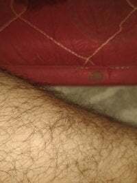 Lushhairyboy11 avatar