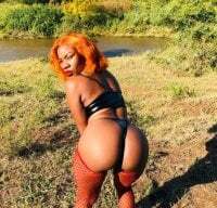 Lyra-Wildflower007 avatar