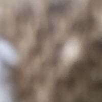 Machinegun012 avatar