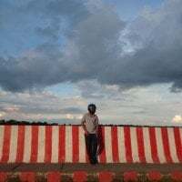 MadForU avatar